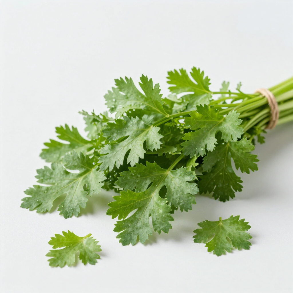 Coriander Leaves